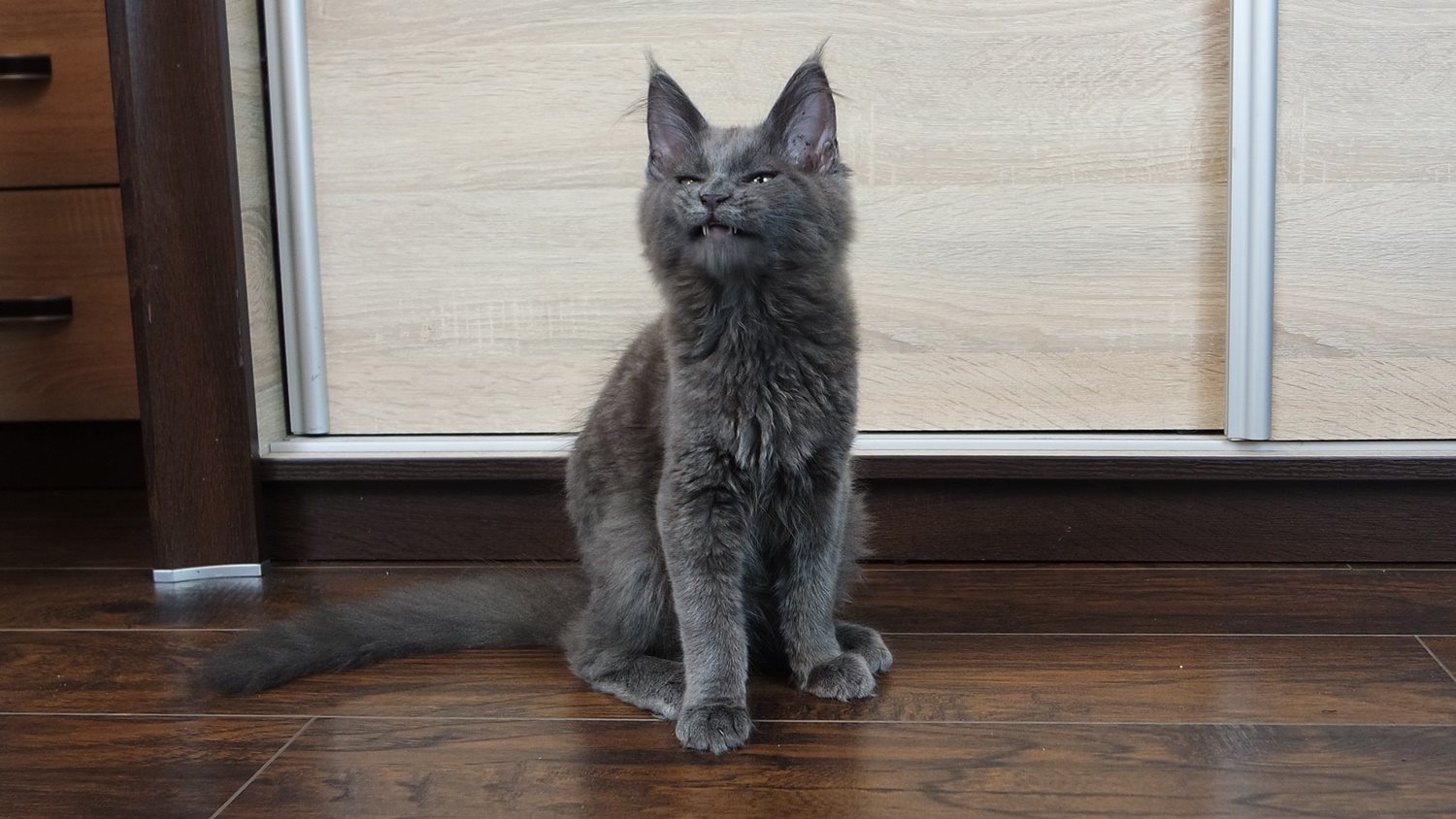Anielka